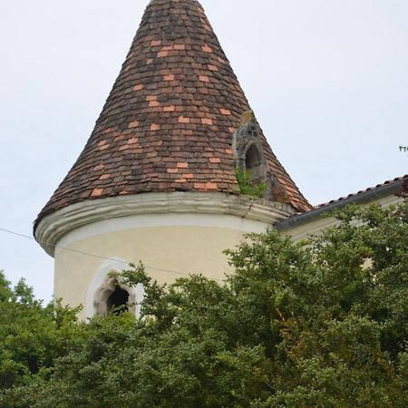 Chambres d'Hôtes du Chateau de Saint Sulpice La Sauvetat-sur-Lède Exterior foto