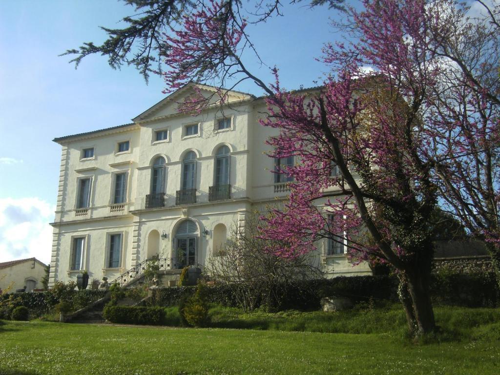 Chambres d'Hôtes du Chateau de Saint Sulpice La Sauvetat-sur-Lède Exterior foto